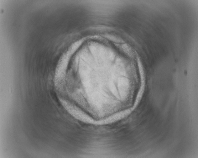 X0000082731397200702232335