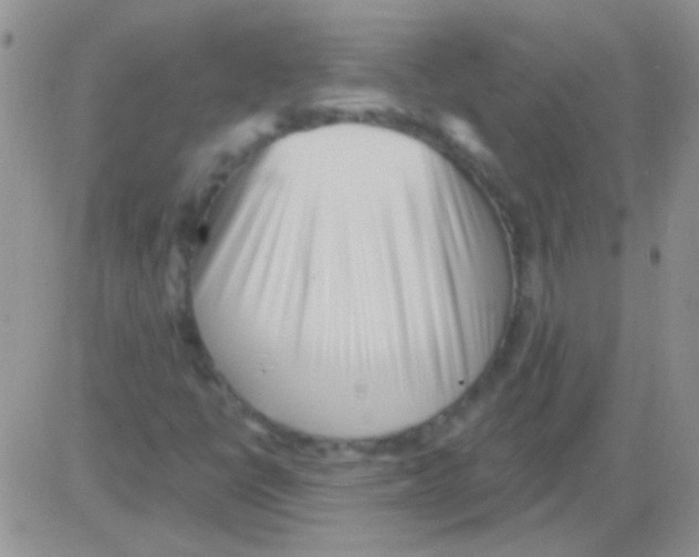 X0000082731398200702232335