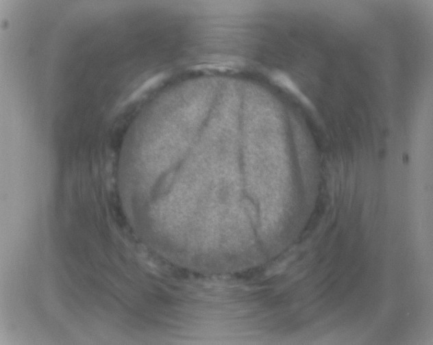 X0000082731399200702232335