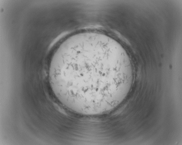 X0000082731400200702232335