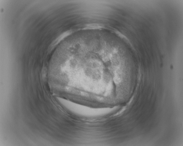 X0000082731401200702232335