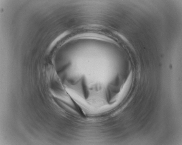 X0000082731402200702232335