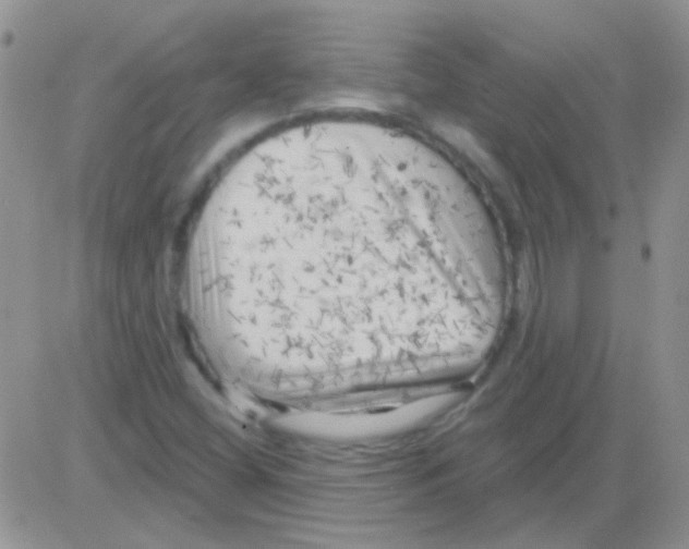 X0000082731404200702232335