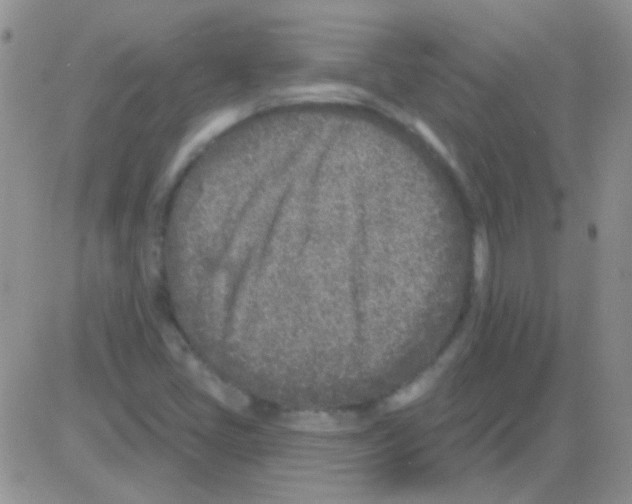 X0000082731405200702232335