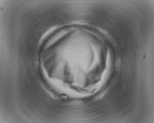 X0000082731406200702232335