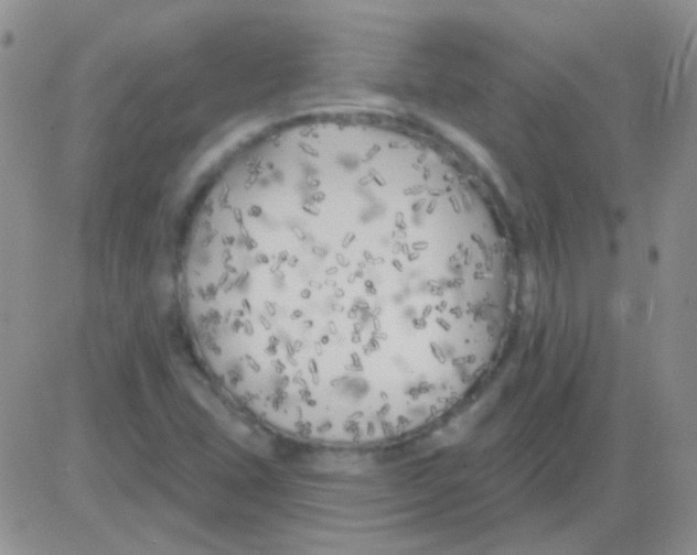 X0000082731407200702232335