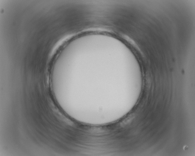 X0000082731408200702232335