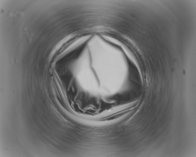 X0000082731410200702232335