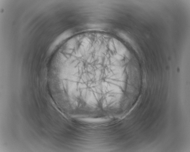 X0000082731411200702232335