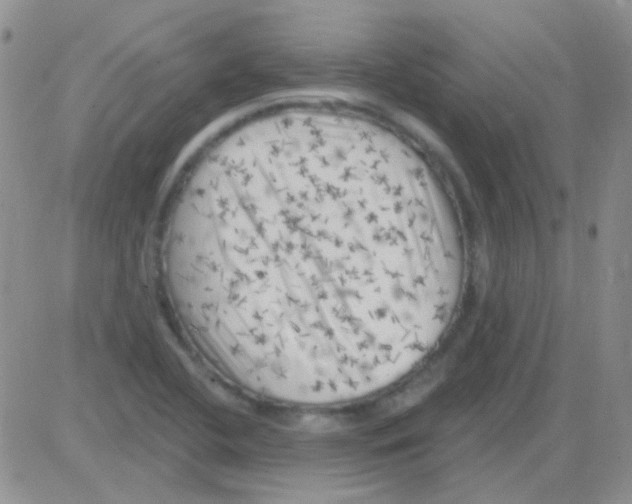 X0000082731412200702232335