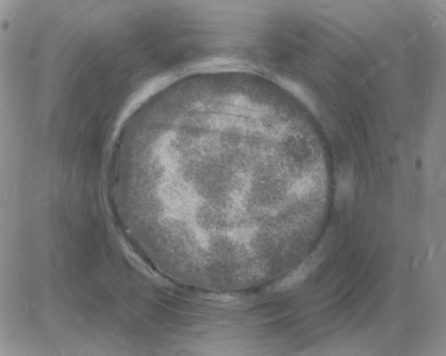 X0000082731413200702232335