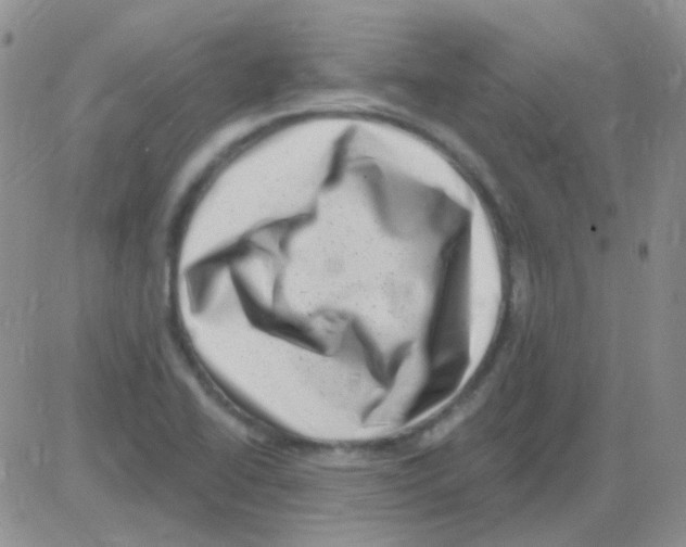 X0000082731414200702232335