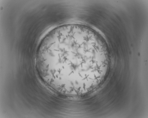 X0000082731415200702232335