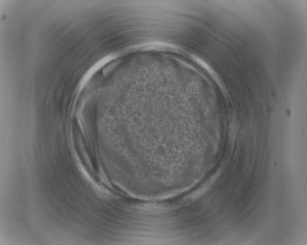 X0000082731418200702232335