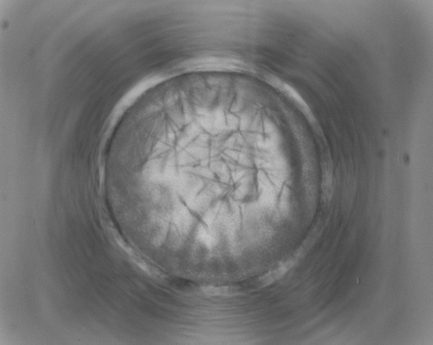 X0000082731419200702232335