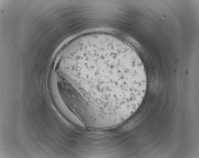 X0000082731420200702232335