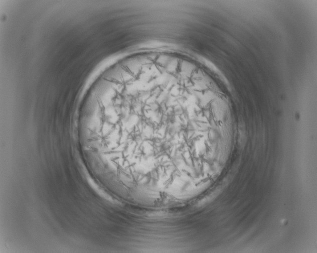 X0000082731421200702232335