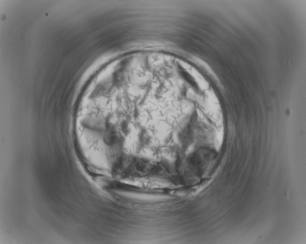 X0000082731424200702232335