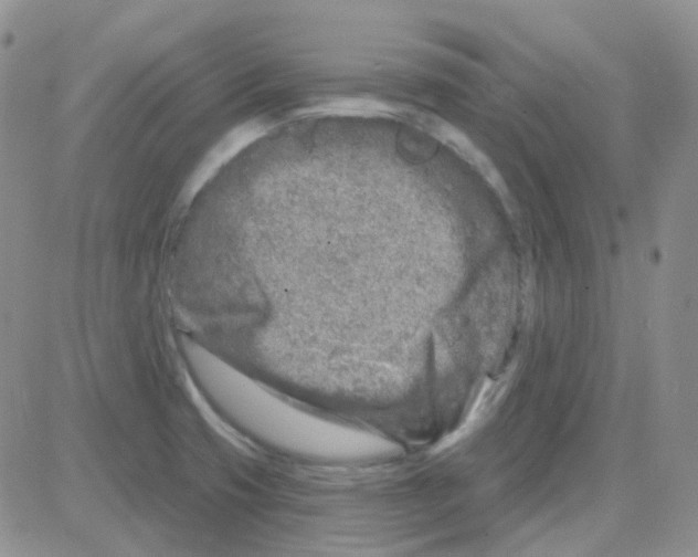 X0000082731425200702232335