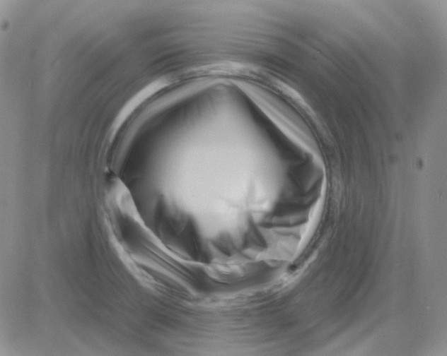 X0000082731426200702232335