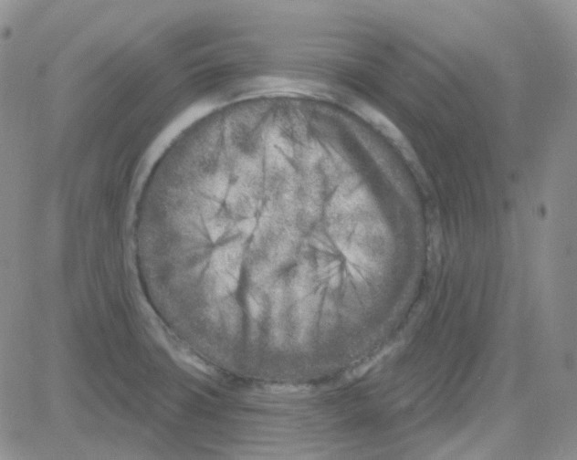 X0000082731427200702232336