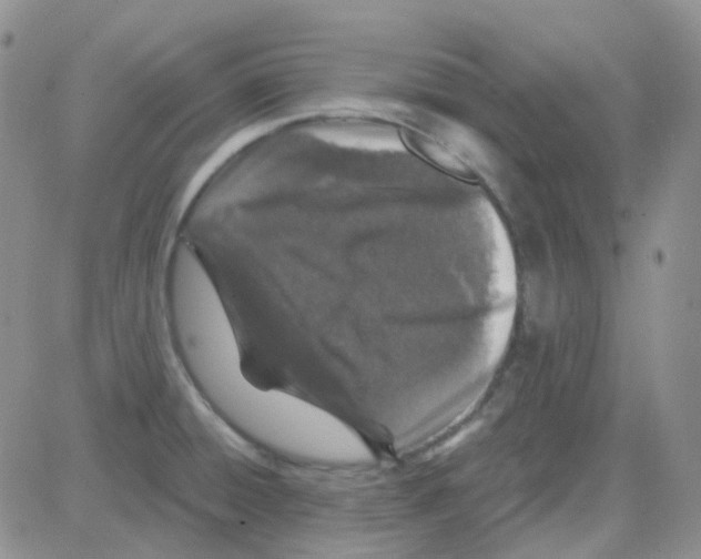 X0000082731428200702232336