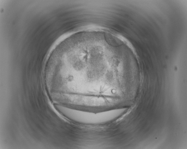 X0000082731429200702232336