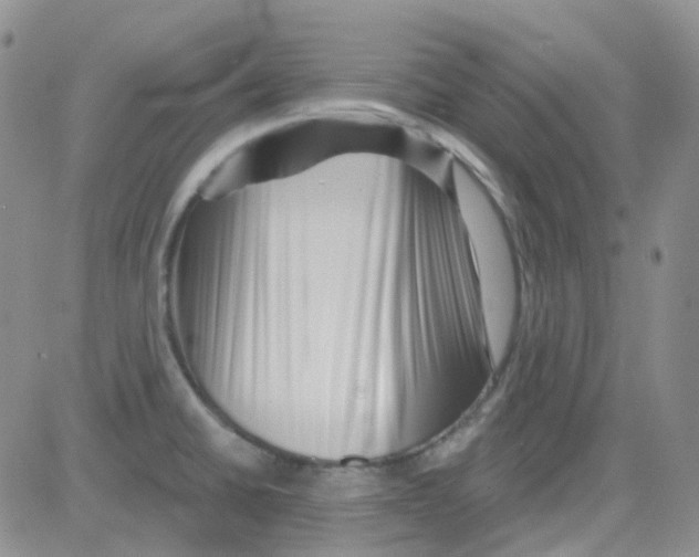 X0000082731430200702232336