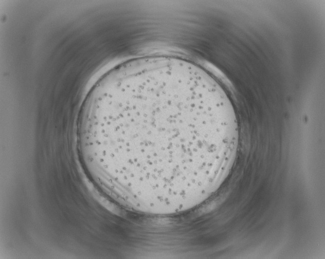 X0000082731431200702232336