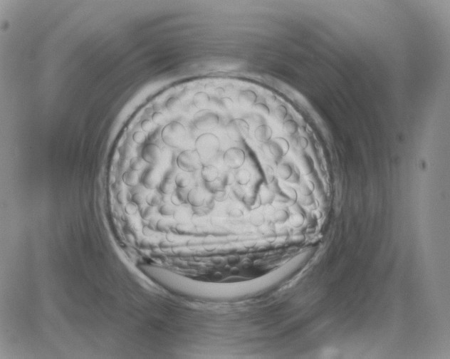 X0000082731432200702232336