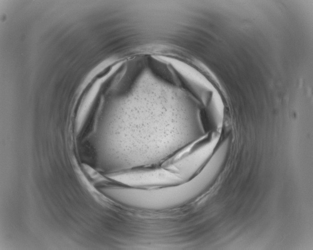 X0000082731434200702232336