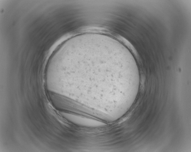 X0000082731435200702232336