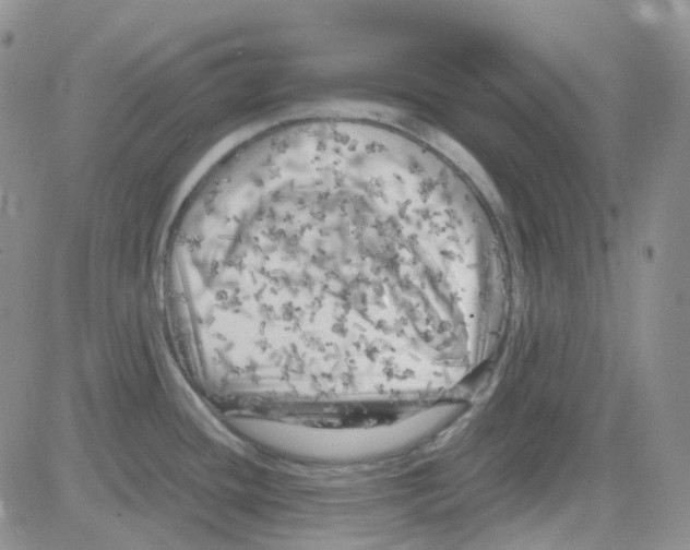 X0000082731436200702232336