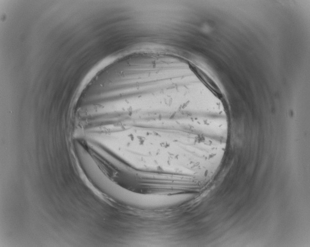 X0000082731437200702232336