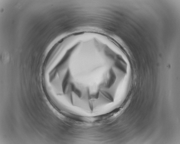 X0000082731438200702232336