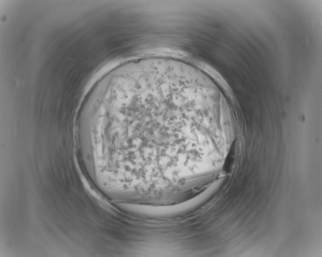 X0000082731439200702232336