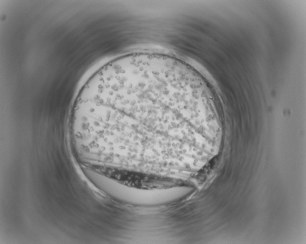 X0000082731440200702232336