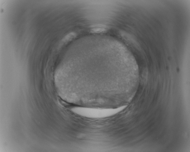 X0000082731441200702232335