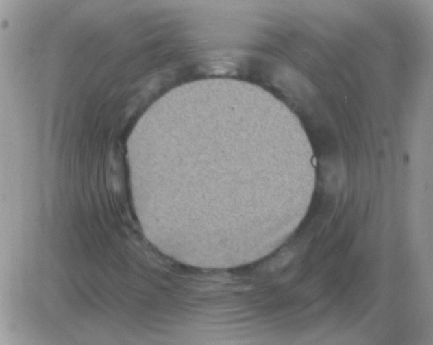 X0000082731442200702232335