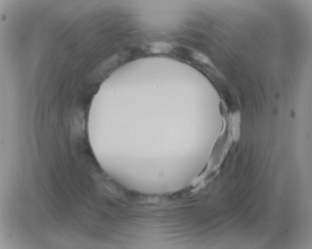 X0000082731443200702232335