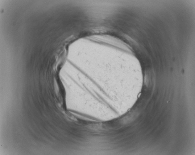 X0000082731444200702232335