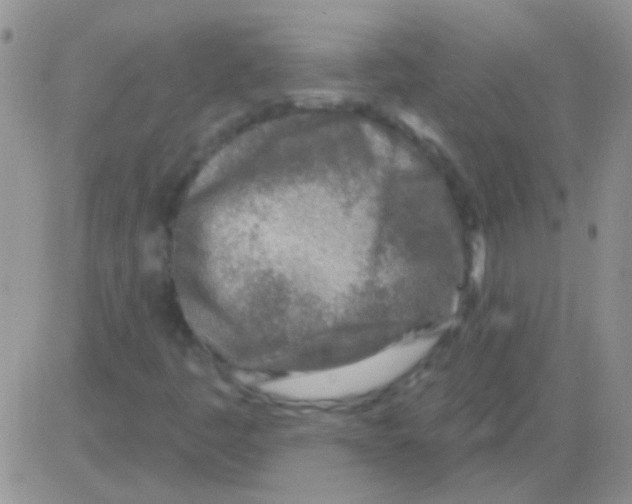 X0000082731445200702232335