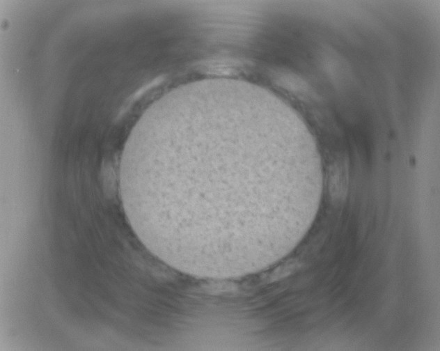 X0000082731446200702232335