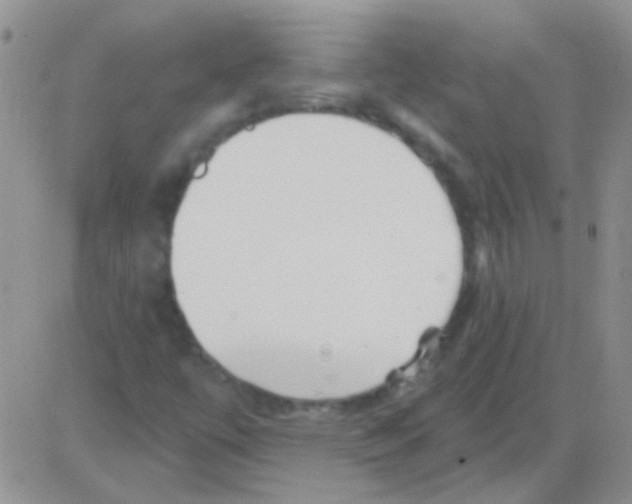 X0000082731447200702232335