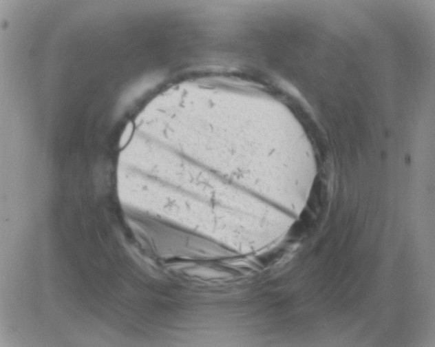 X0000082731448200702232335