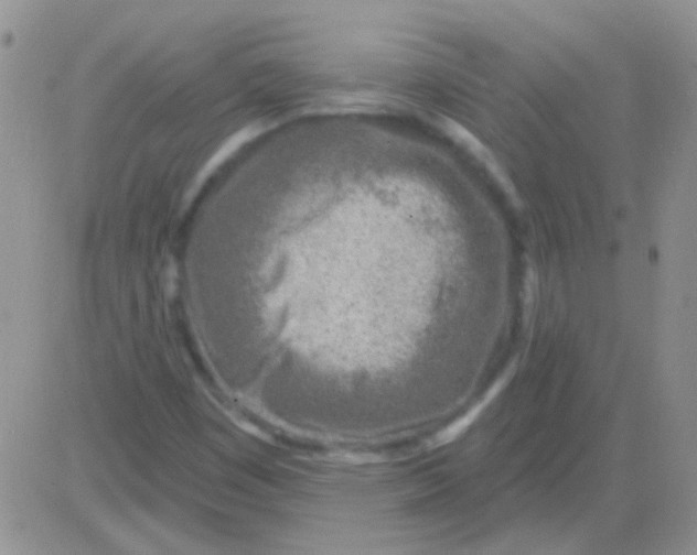 X0000082731449200702232335