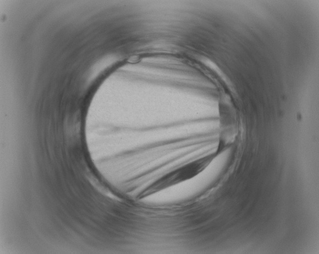 X0000082731450200702232335