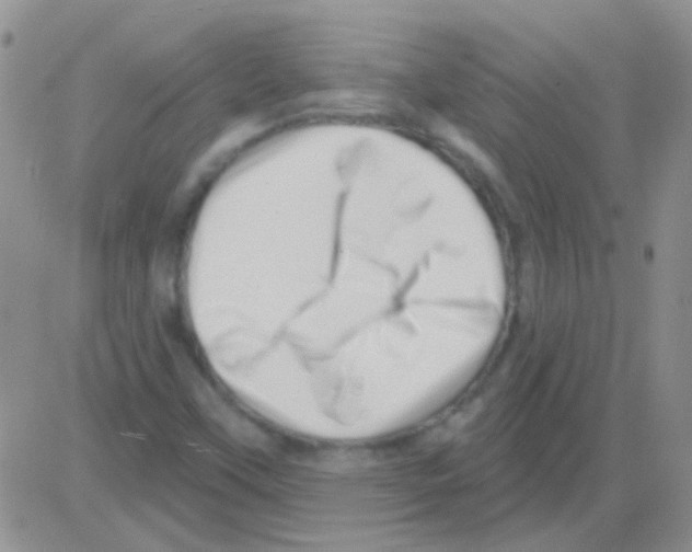 X0000082731451200702232335