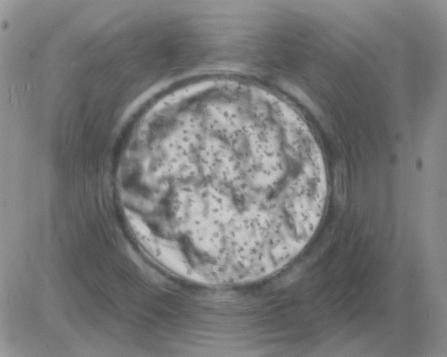 X0000082731452200702232335