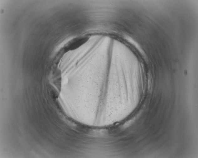 X0000082731453200702232335